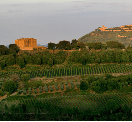 Castello Romitorio