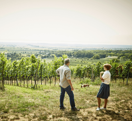 Weingut Heinrich