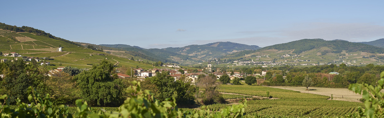 Beaujolais