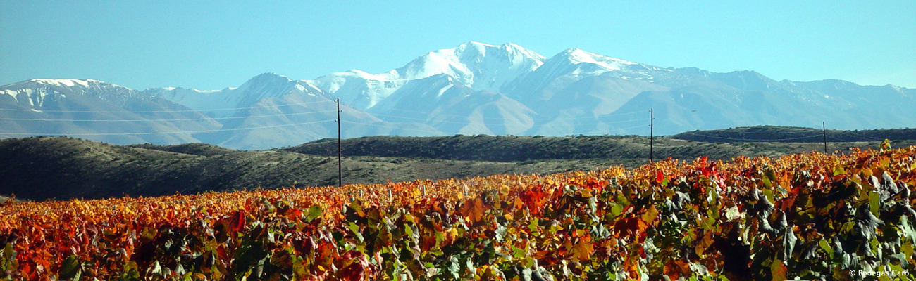 Mendoza