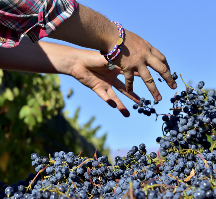 Bodegas Caro - Domaines Barons de Rothschild (Lafite)