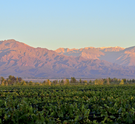 Bodegas Caro - Domaines Barons de Rothschild (Lafite)