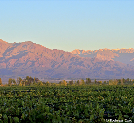 Mendoza