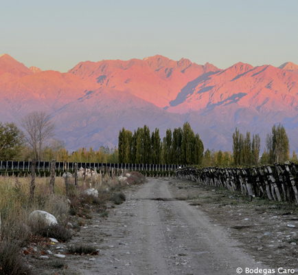 Mendoza