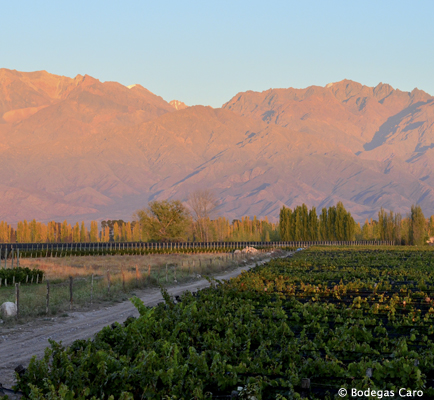 Mendoza