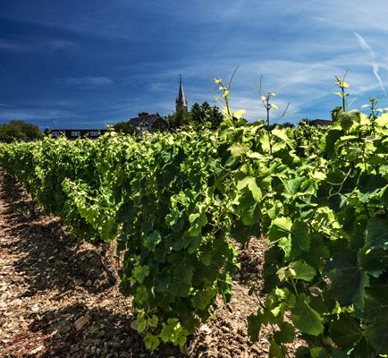 Domaine Bouchie-Chatellier