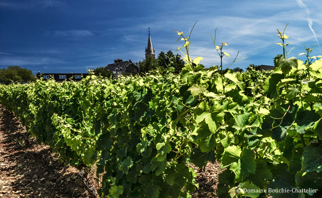 Loire