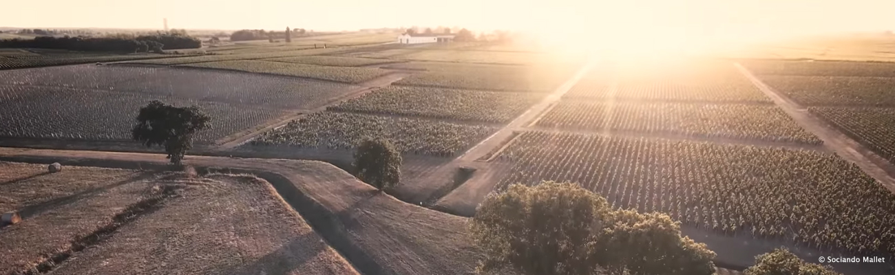 Haut Médoc