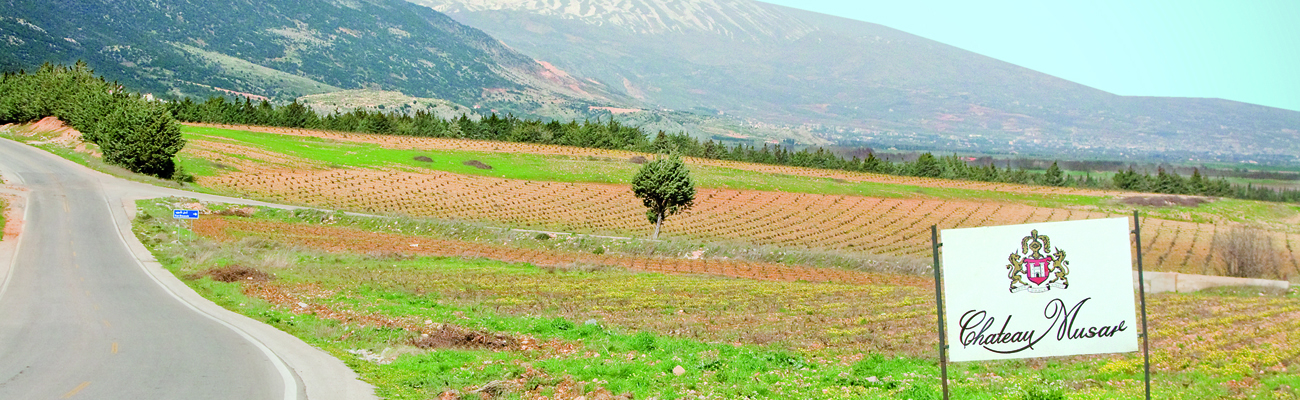 Château Musar