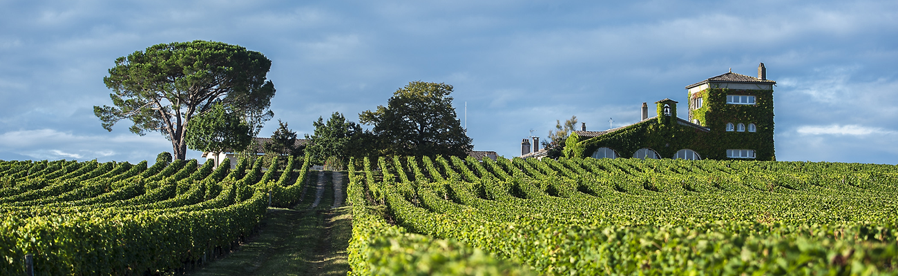 Château Rieussec