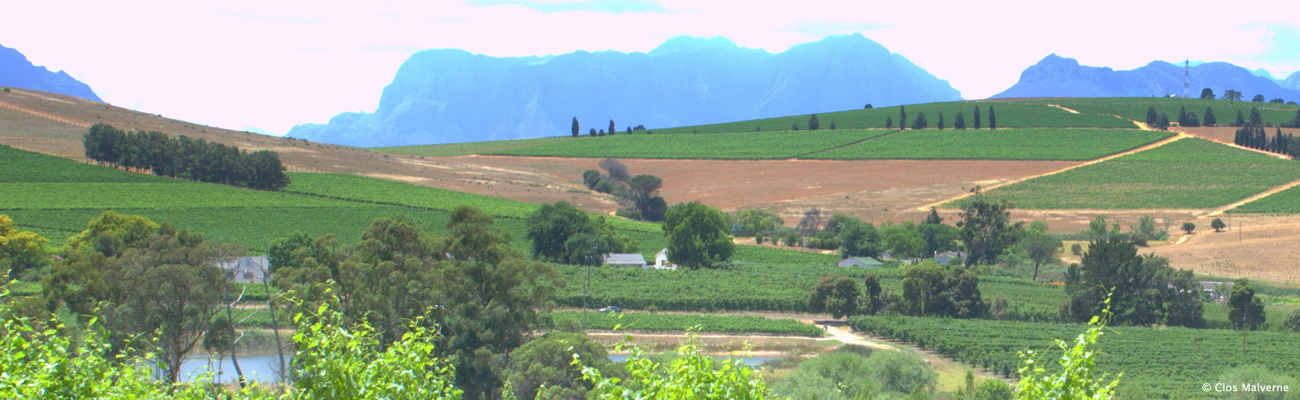 Stellenbosch