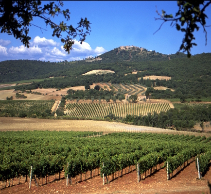 Tenuta di Collosorbo