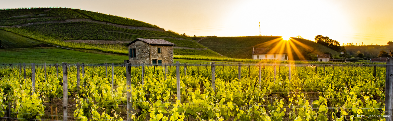 Côtes du Rhône