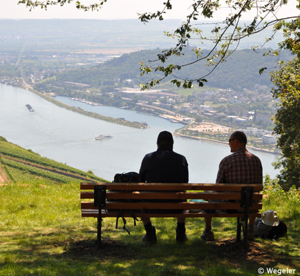 Rheingau