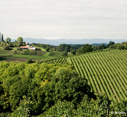 Südsteiermark