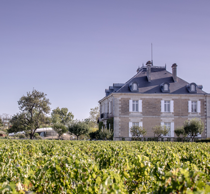 Château Haut Bailly