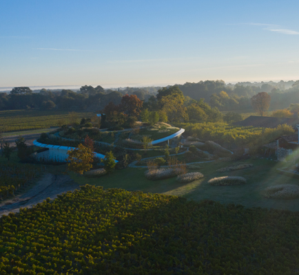 Château Haut Bailly