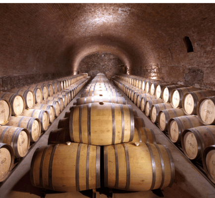 Bodegas Caro - Domaines Barons de Rothschild (Lafite)