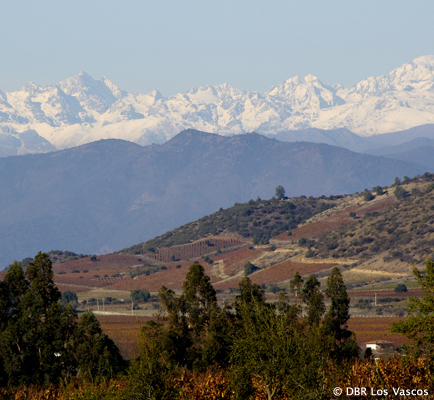 Colchagua