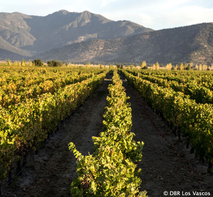 Colchagua