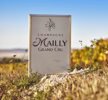 Mailly Champagne Grand Cru