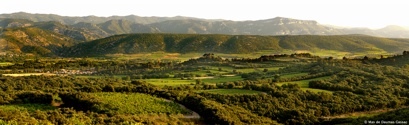 Languedoc