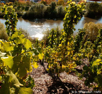 Mosel