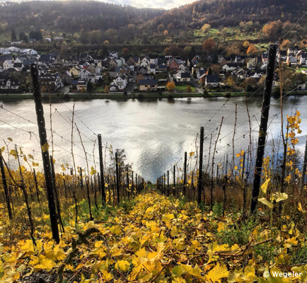 Rheingau