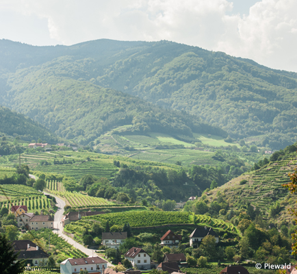 Wachau