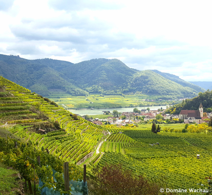 Wachau