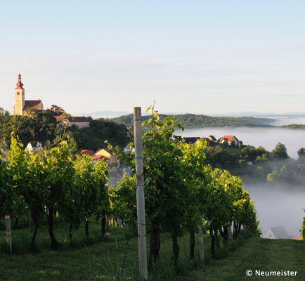 Vulkanland Steiermark