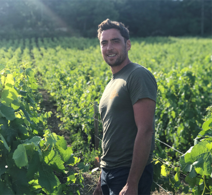 Domaine Jean-Marc Bouley