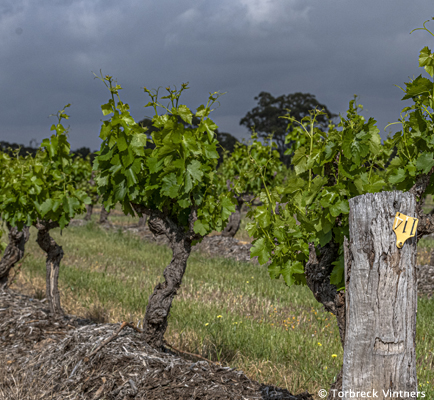 Barossa Valley