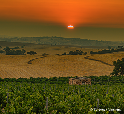 Barossa Valley