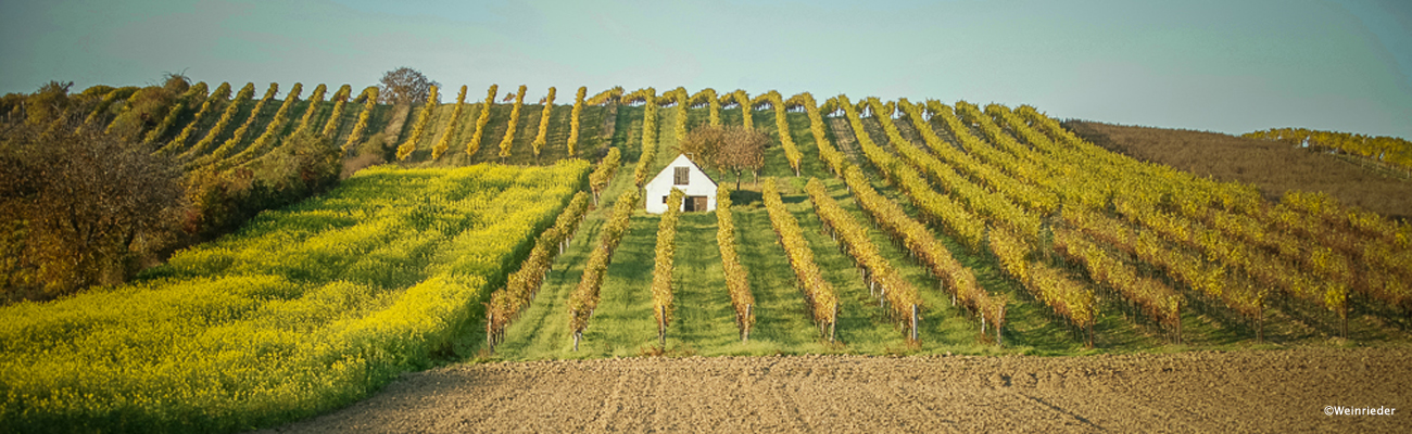 Weinviertel