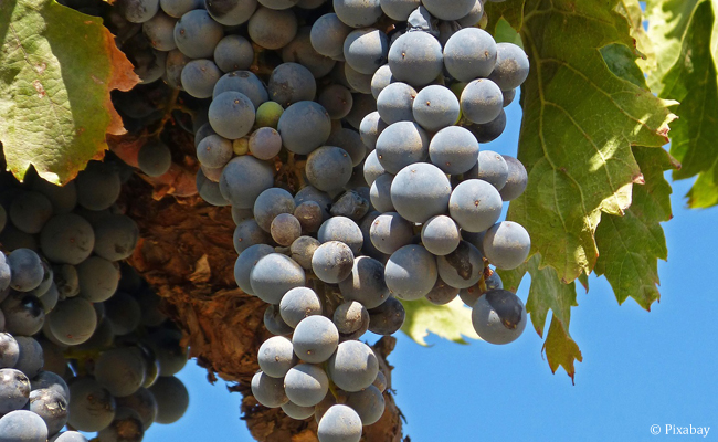 Priorat