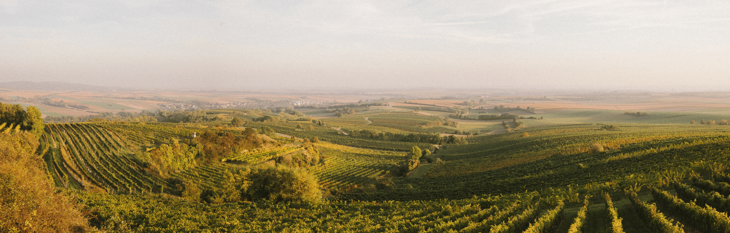 Weingut Josef Fritz