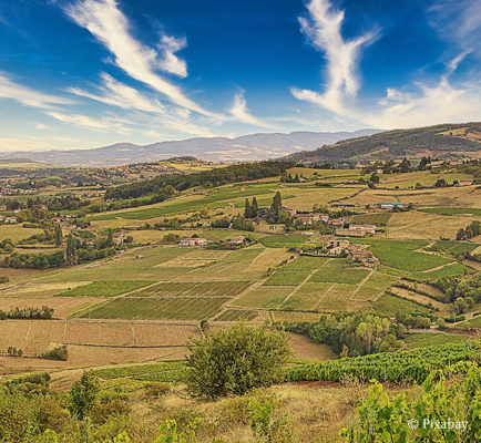 Beaujolais