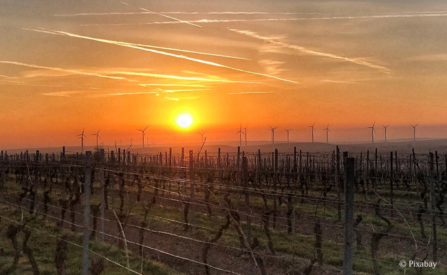 Rheinhessen