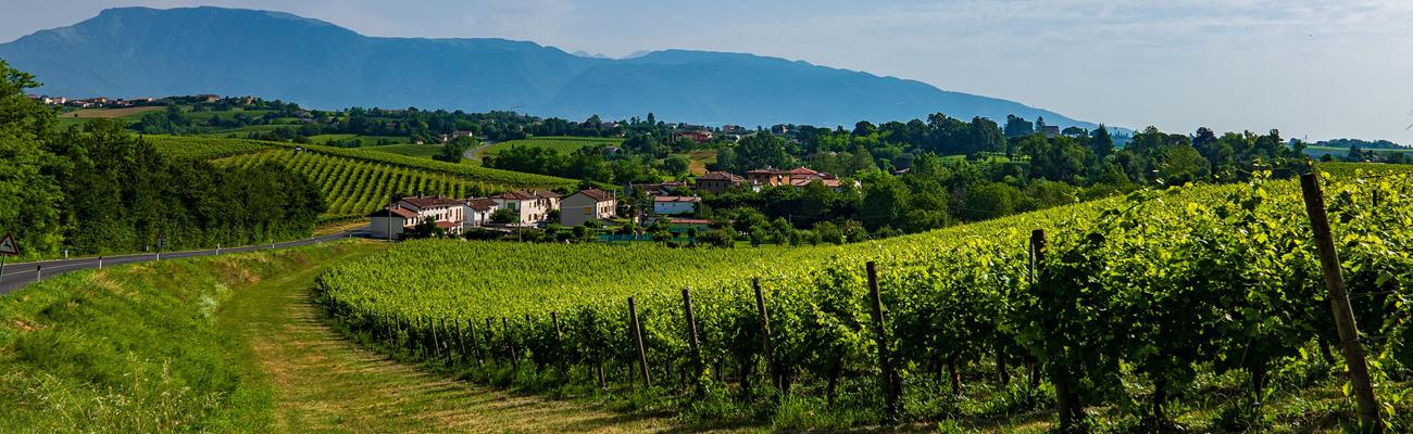 Azienda Agricola Canello