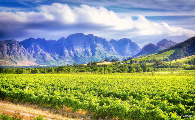 Stellenbosch