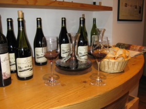 Verkostung-Gassac-4-300x224