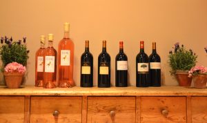Auch Montlobres eindrucksvoller Rosé durfte bei der Verkostung natürlich nicht fehlen.jpg