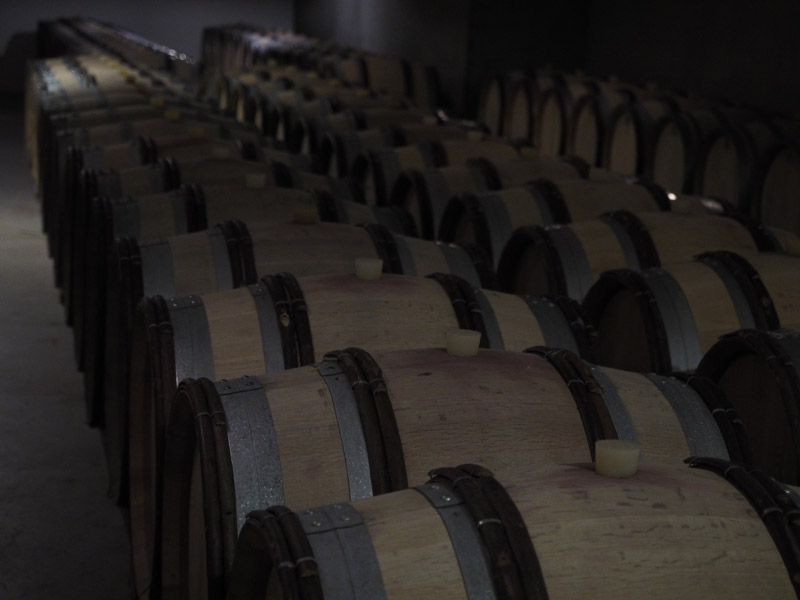 Barrique Keller am Weingut Gottardi Mazzon