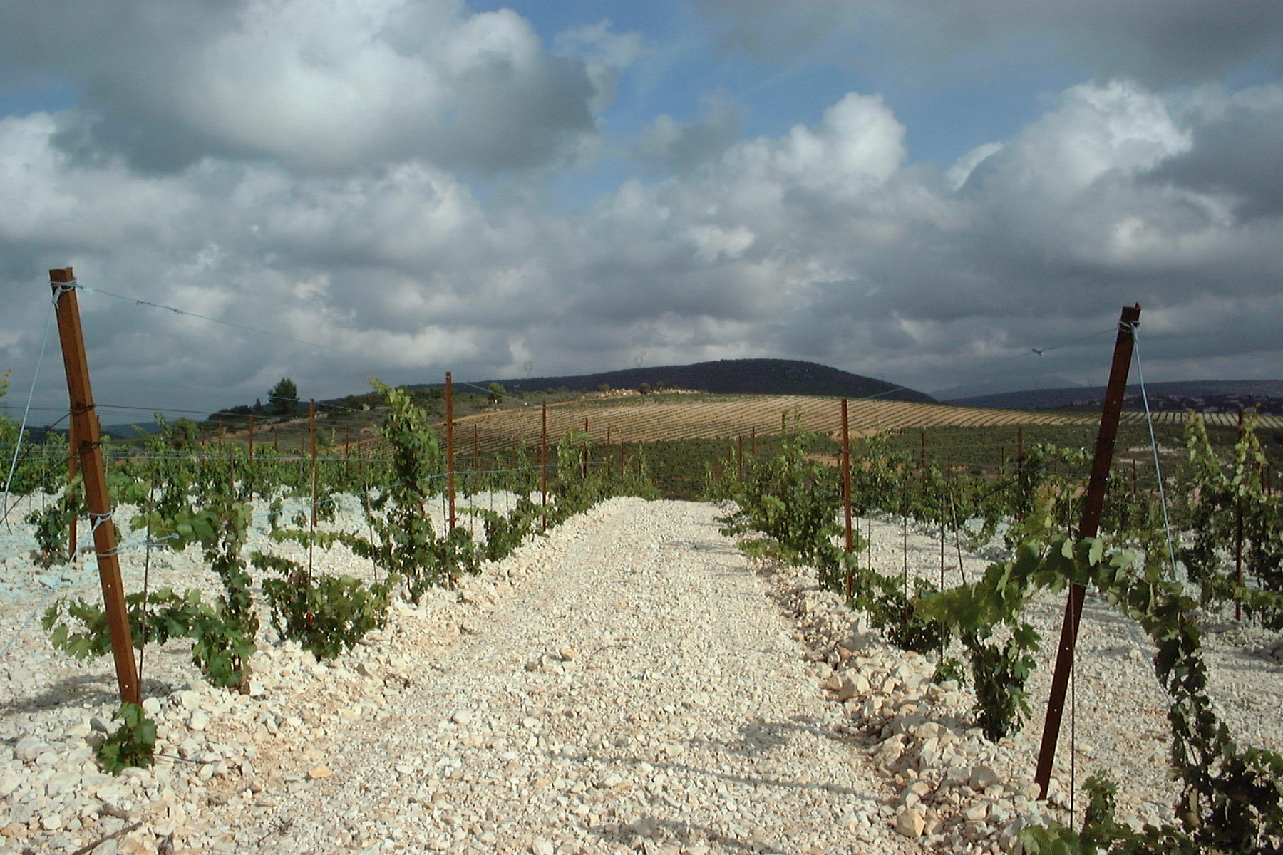 Das Terroir der Domaine Montlobre