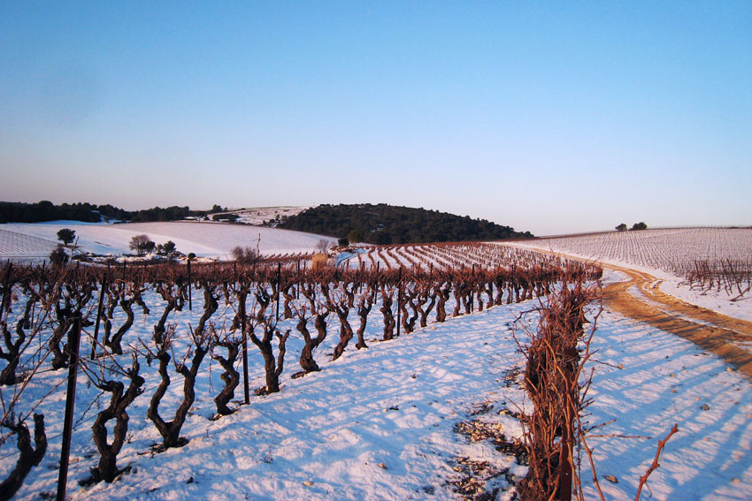 Auch im Süden Frankreichs hält der Winter Einzug.
